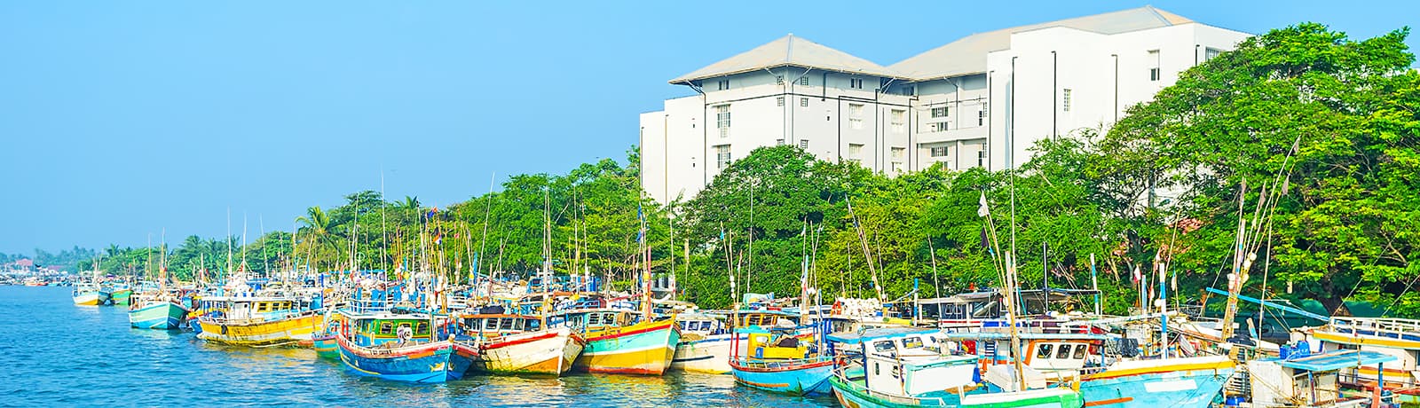 Destination Negombo