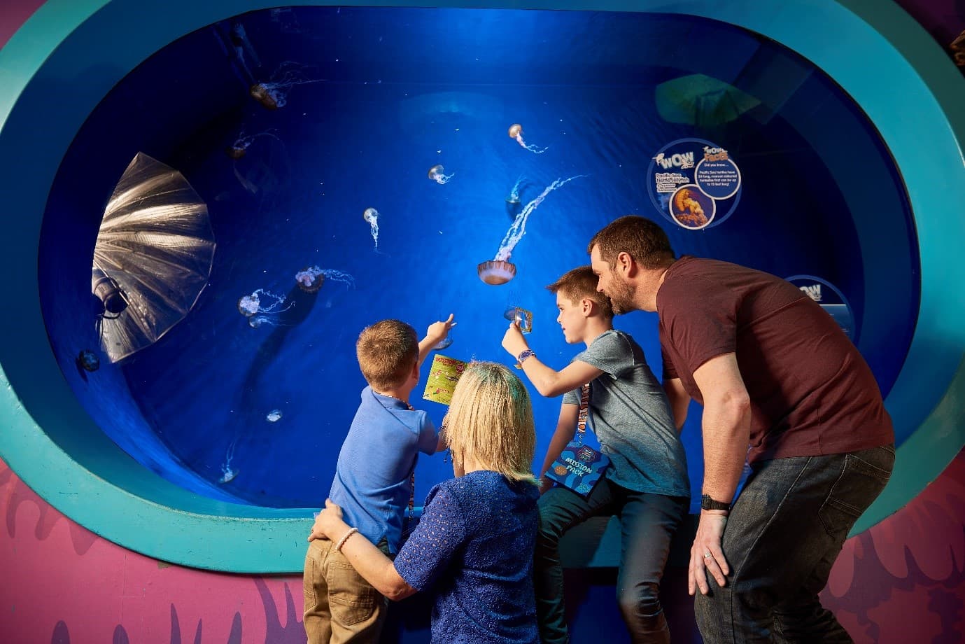 SEA LIFE Florida