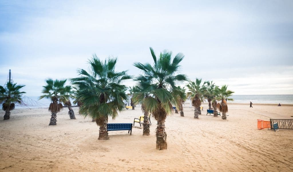Destination Albir