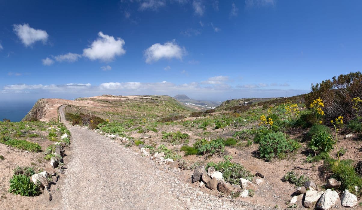 El Bosquecillo