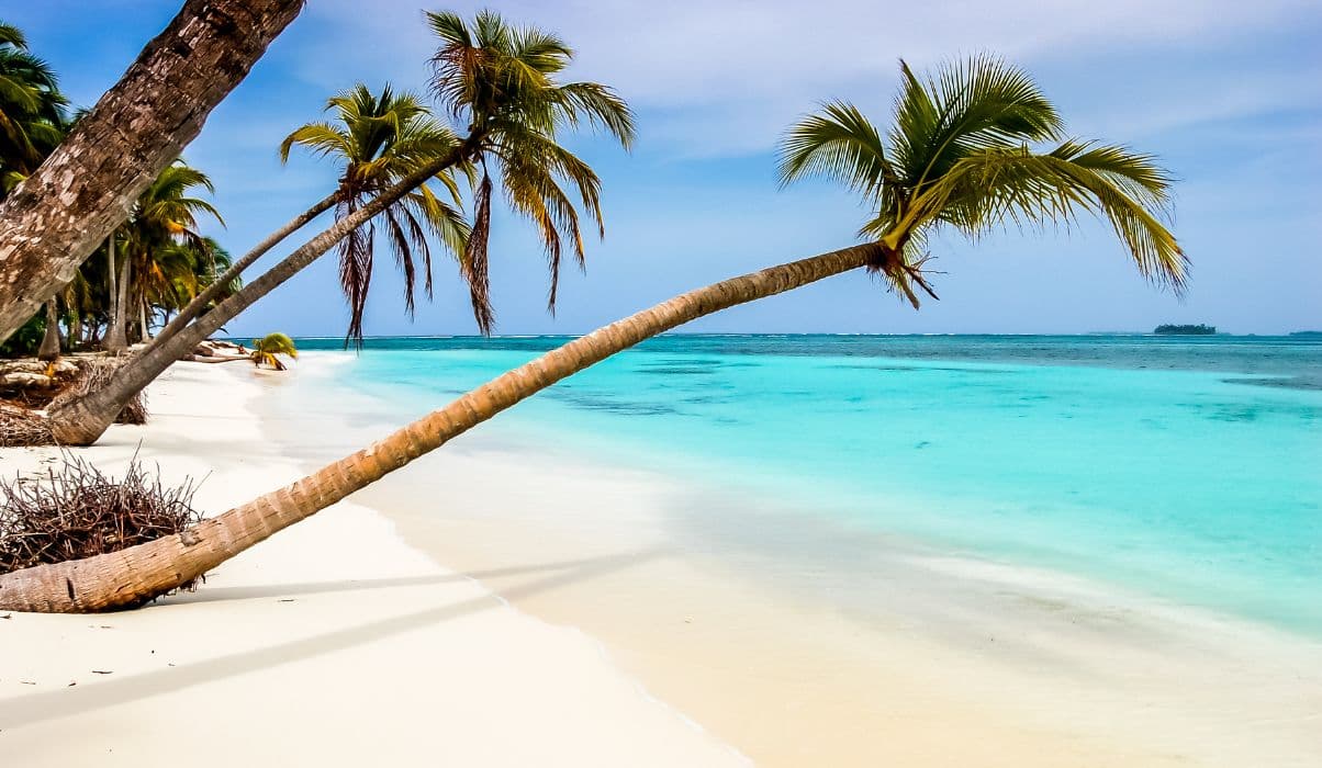 Beaches