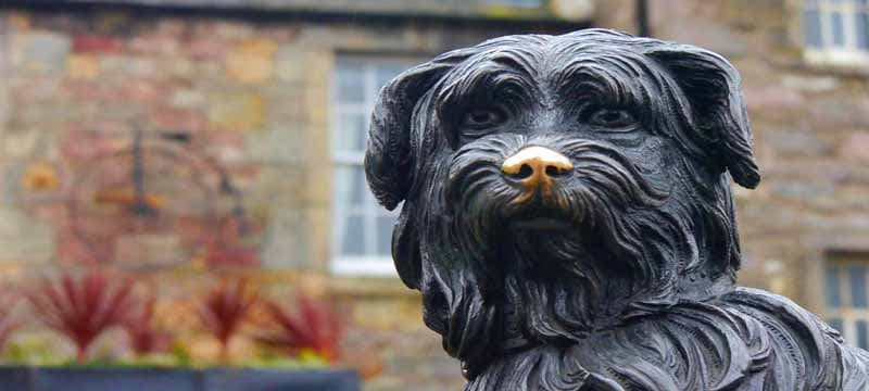 Destination Edinburgh