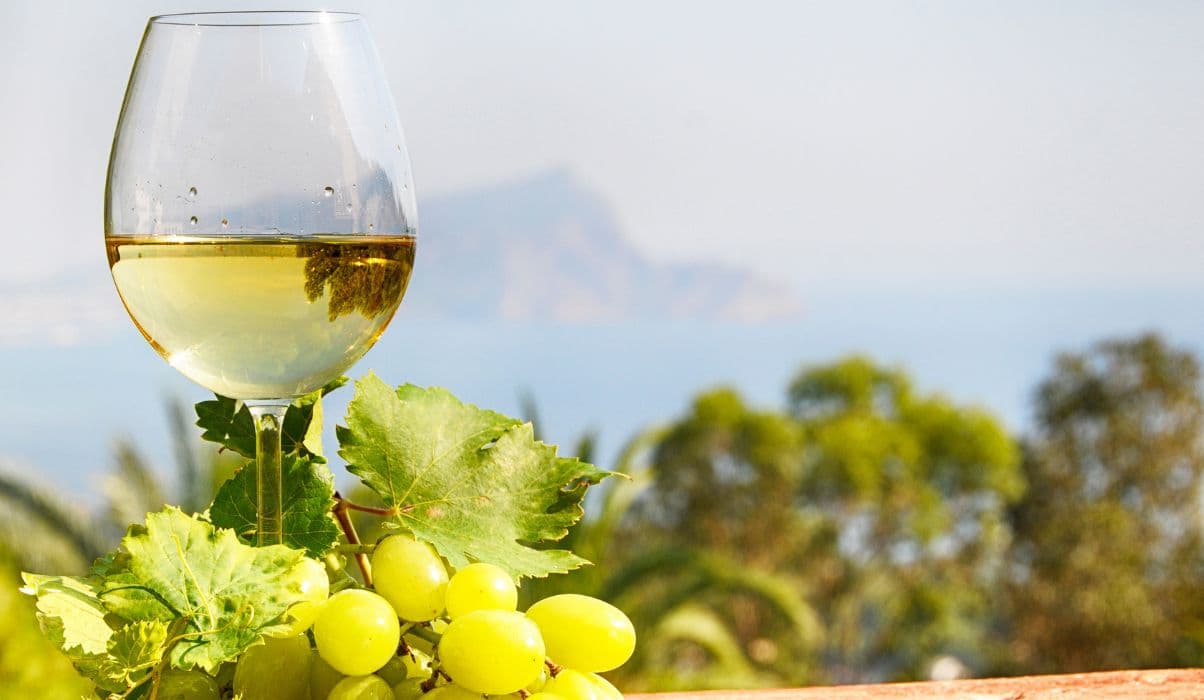 Frascati Wine