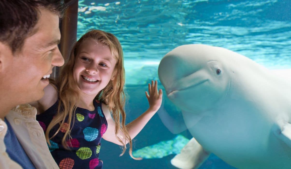 SeaWorld