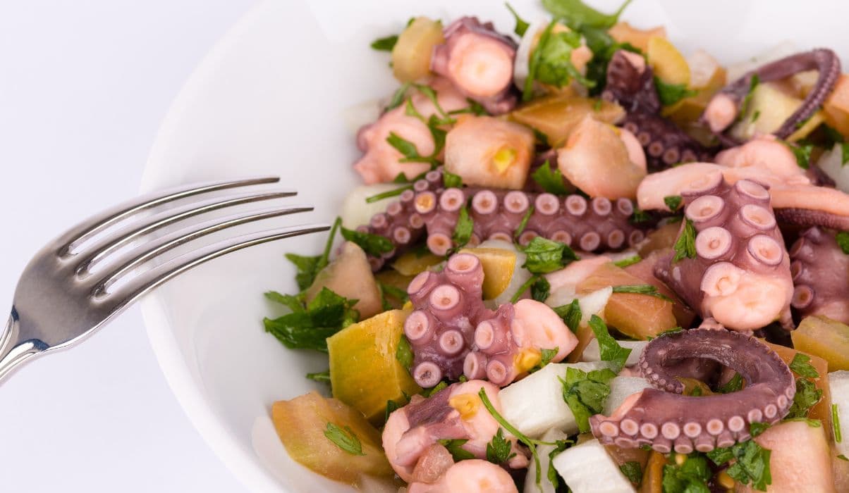 Octopus Salad