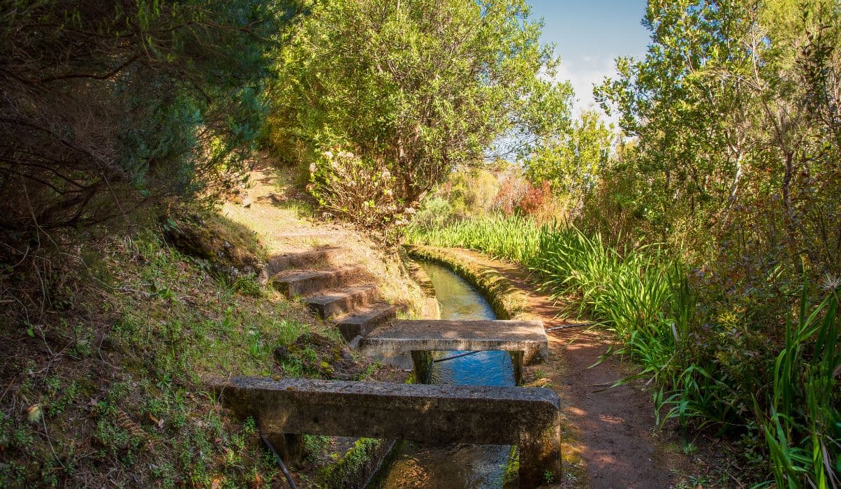 Levada Walks