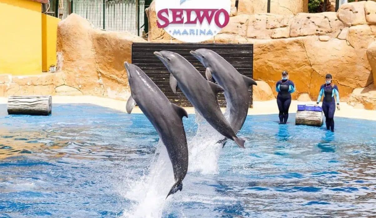 Selwo Marina