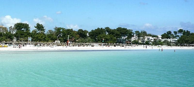 Destination Alcudia