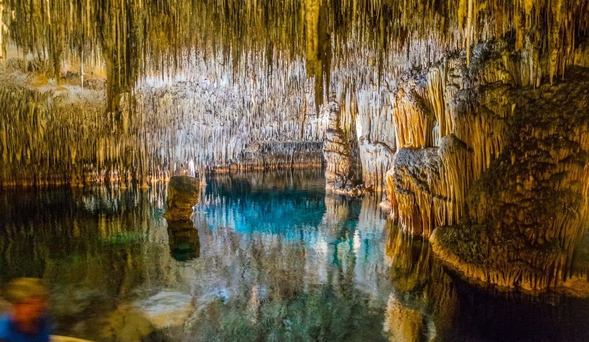 Coves dels Hams