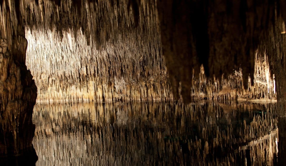 Day Trips to Nearby Attractions