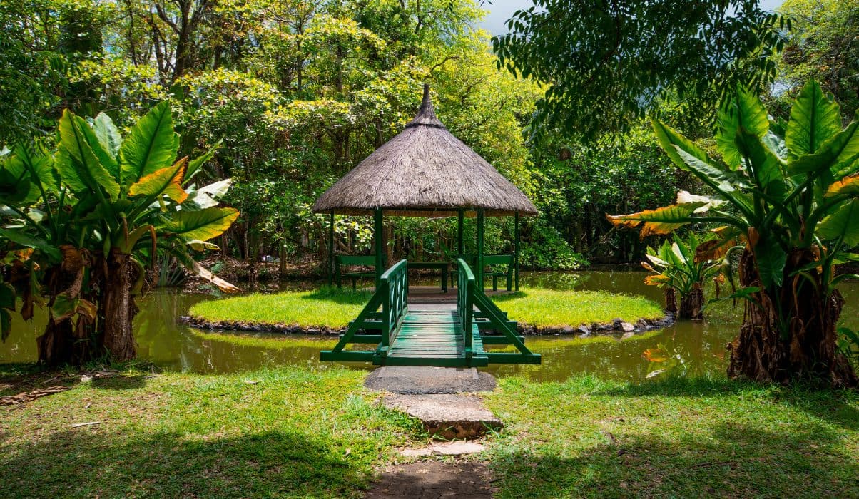 Pamplemousses Botanical Garden