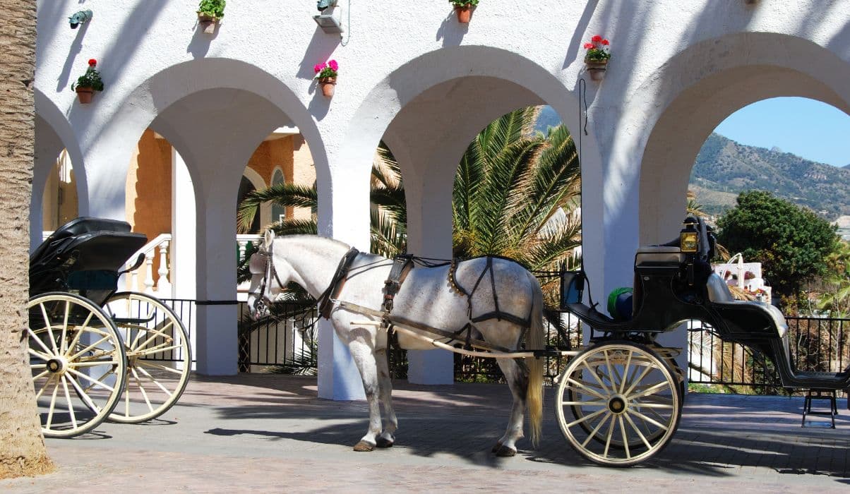 Horse drawn carriage